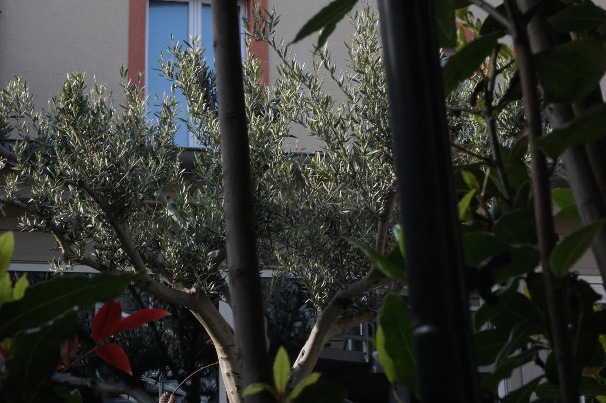Hotel Les Bains 3*